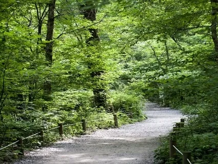 Enhancing Recovery - Problem Solving