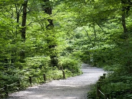 Enhancing Recovery - Purpose And Service 