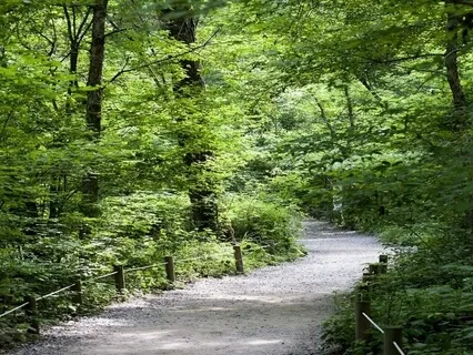 Enhancing Recovery - Self-Growth