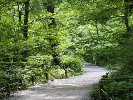 Enhancing Recovery - Stress