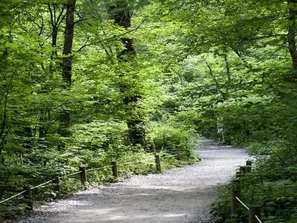 Enhancing Recovery - The Communication Circle 