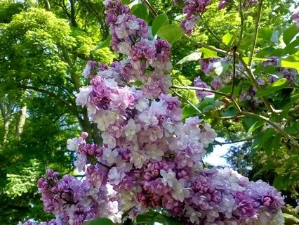 Enhancing Resilience To Cope With Stress