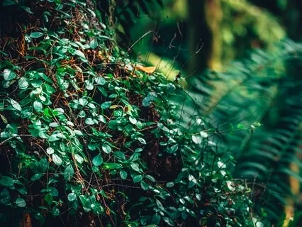 Enhancing Self-Empowerment