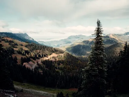 Enhancing Sports Performance