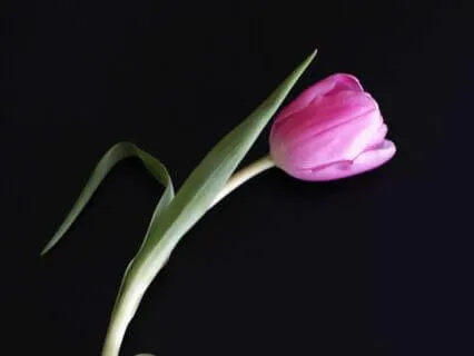 Enhancing the Manifestation Process | Part 2