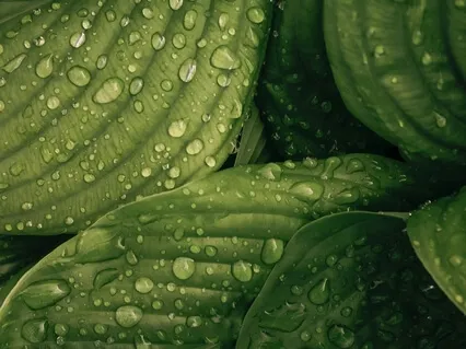 Энергия Жизни. Мощное Оздоровление Организма