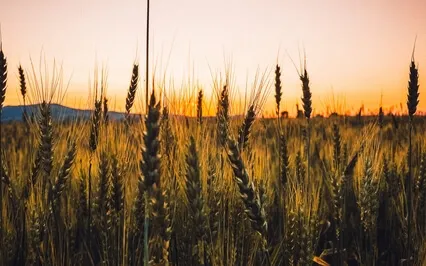 “Энергомагнит”. Усиление Энергии и Чувства Счастья