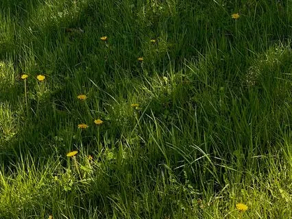 Enigmatic Echo - Ancestors In Melody