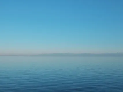 Enjoy (Breath & Metta Meditation)