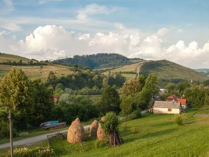 Enjoy Countryside Morning Sounds