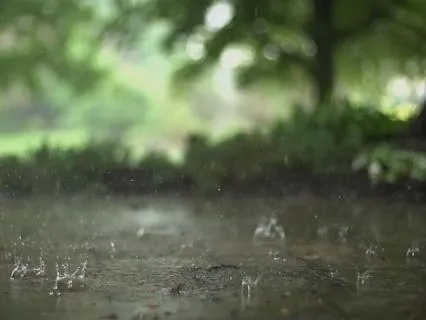 Deep Relaxation With Soft Rain And Koshi Chimes
