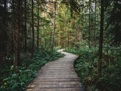 Enjoy The Journey Of Getting To The Goal