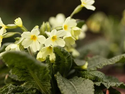 Enjoying The Moment - February 27