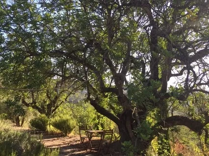 Enjoying The Present Moment