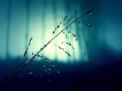 Enlarging Your Stillness