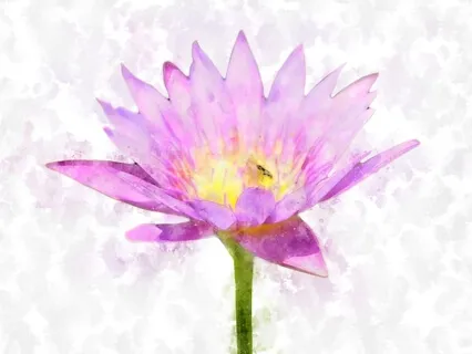 Enlightened Darkness