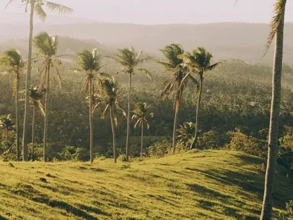 Enlightened Serenity Music For Focus And Stress Relief