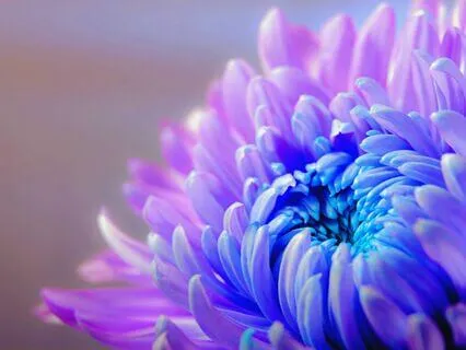 Enliven 3 Rounds Of Energizing Breathwork (16 Minutes)