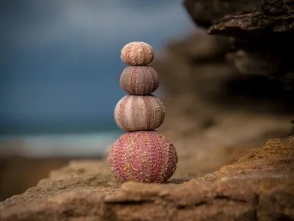 Enlivening Chakra & Subtle Body Meditation & Talk