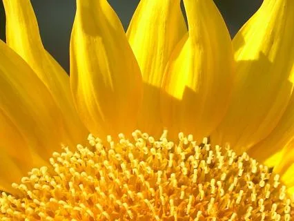 Enoughness: Remembering That You Are Enough