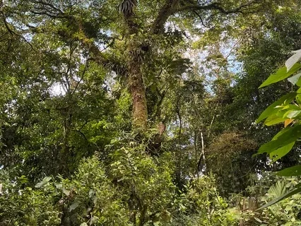 Enriching IFS Self By Connecting With Parts’ Self Qualities