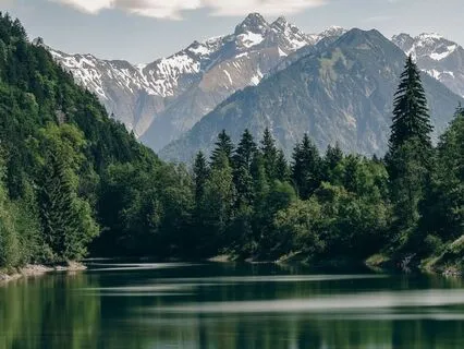 Ensemble Of Peace - Stress Relief