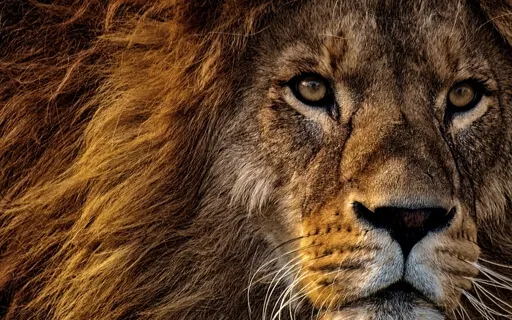 Ensinamento Sobre o Narcisismo