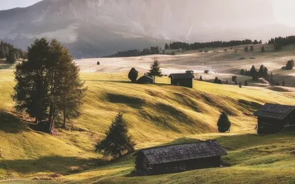 Ensinamento Sobre Viver uma Vida que Não é a Nossa