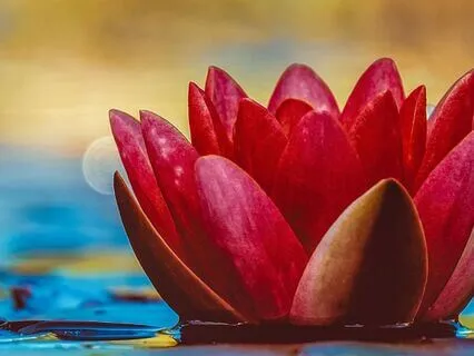 Entangled In The Search For A Better Identity