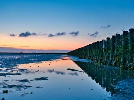 Enter A Calm And Blissful State