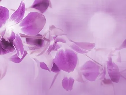 Enter Deep Relaxation Effortlessly