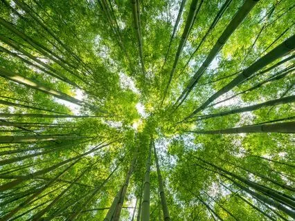 Enter The Abundance Portal! 369 Hz Tuning Fork +777 & 888 Hz