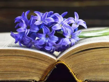 Enter The Akashic Records: Receive Insight & Divine Guidance