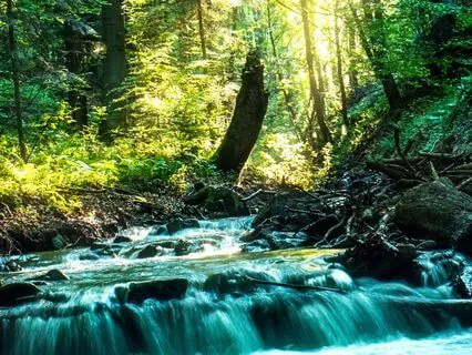 Manifest And Enter The Flow State