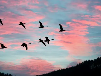 Enter Your Akashic Records For Guidance 