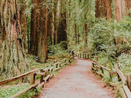 Entering Multidimensionality