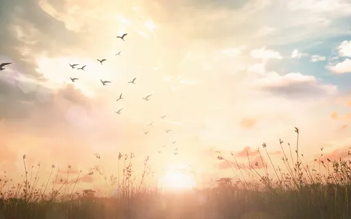 Entering Pure Awareness