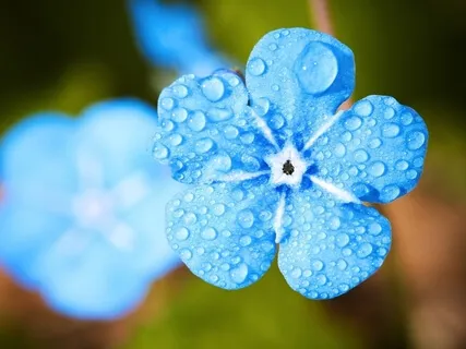 Enthusiasm: Having a Beginner's Mind