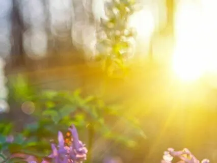 Entity And Parasite Removal Session 2