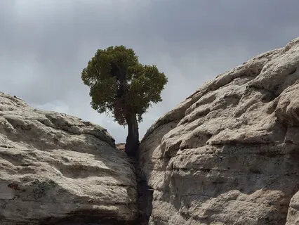 EnTrance Mini-Meditation #1 of 24 (15 Minutes)