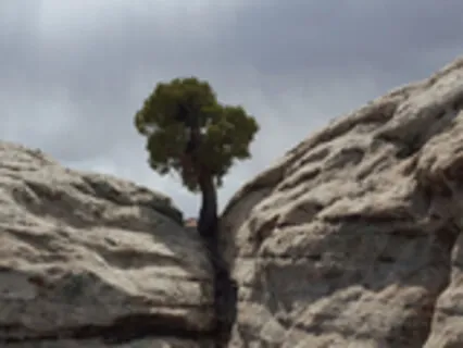 EnTrance Mini-Meditation #2 Of 24 (15 Minutes)