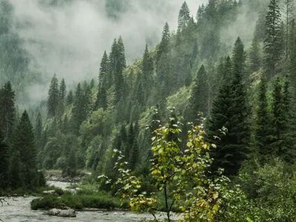 Entre el agua y el silencio.