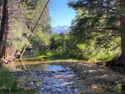 Enveloping Water And Bamboo Flute