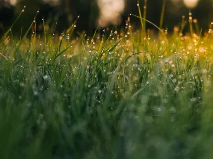 Envision Your Day: Morning Practice 