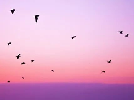 Envisioning Your Best Life