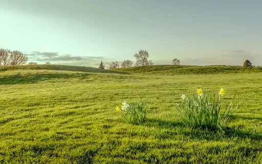 Eostre/Spring Equinox Guided Meditation