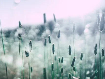 EP15 Anxiety And Depression I 抑郁和焦虑常结伴而行：如何好好照顾自己