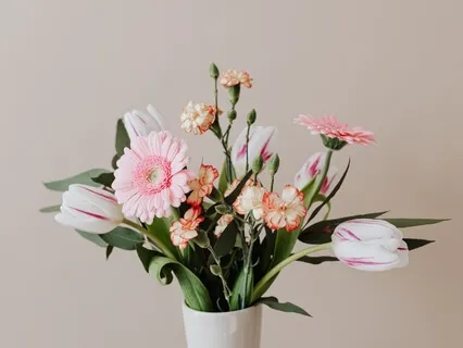 Ep33 Aging Anxiety II 年龄焦虑（下）为什么没有人教我们如何应对变老？我们整个社会对于老年生活缺乏想象力