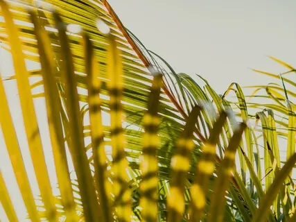 Ep35 Work-Life Balance 在繁忙的工作中生活，寻找工作生活的平衡