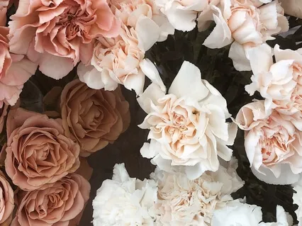 Ep39 Perfectionism 完美主义者其实就是超级害怕失败。聊一聊完美主义为何有毒。